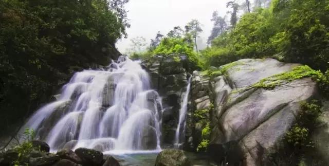 世界地球日草本植萃,世界地球日自然资源科普