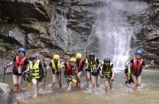 世界地球日草本植萃,世界地球日自然资源科普