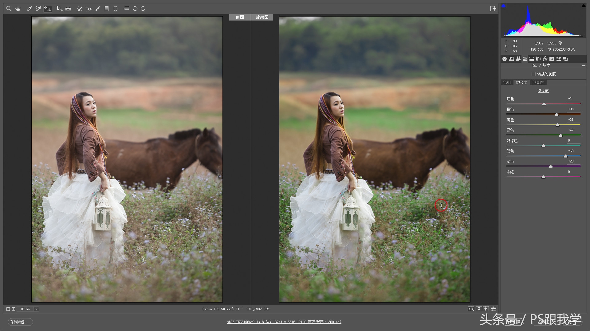 adobecameraraw工具怎么添加,cameraraw首选项怎么设置