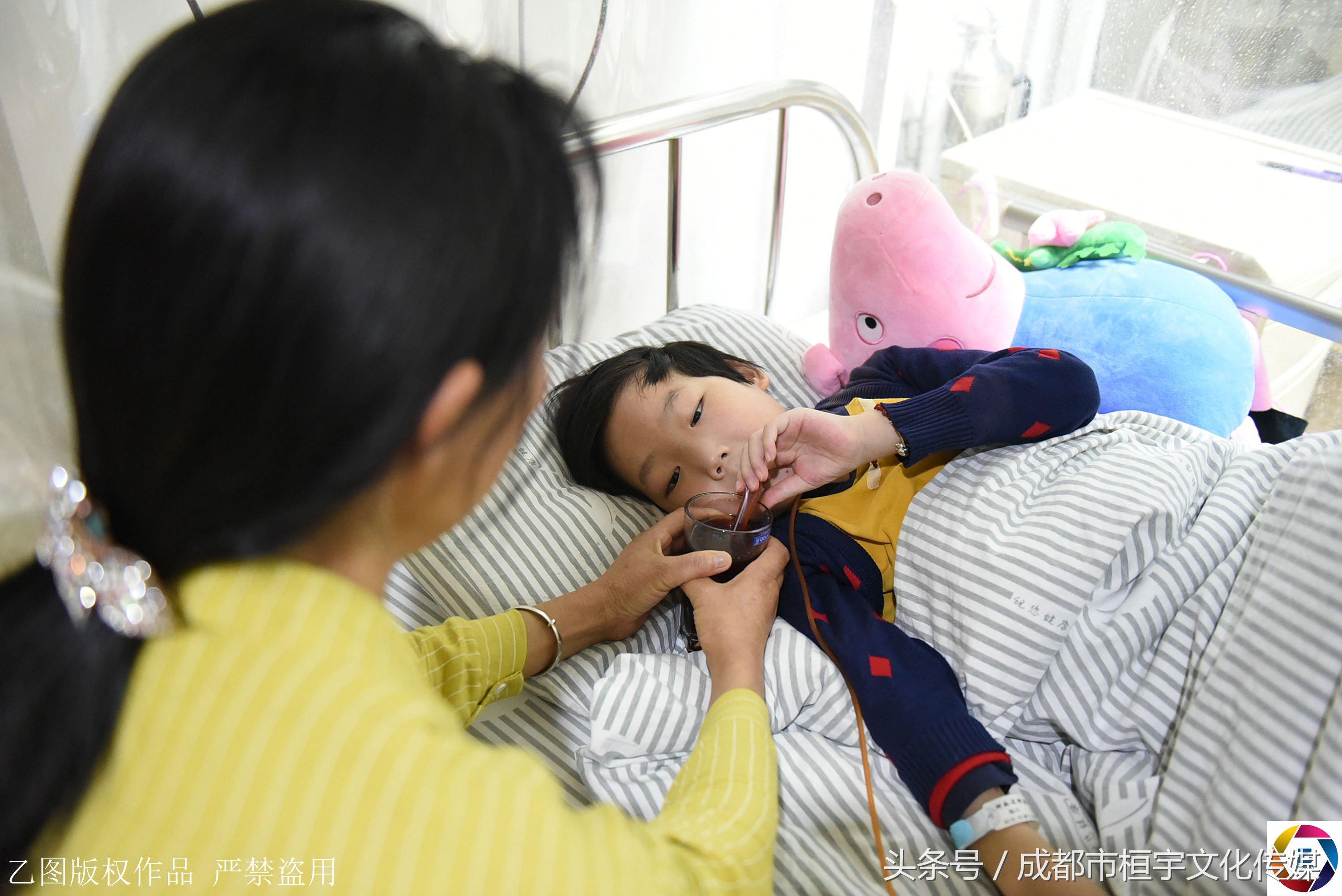 7岁男童每天放学采茶挣钱给哥哥治病，一天仅卖3元钱