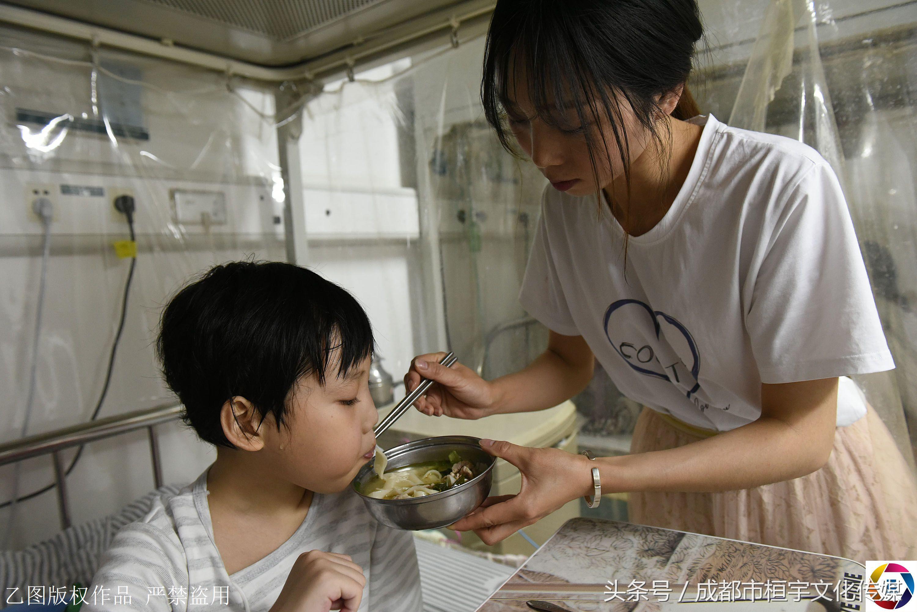 7岁男童每天放学采茶挣钱给哥哥治病，一天仅卖3元钱