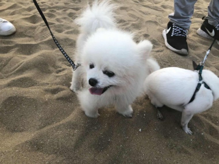 钦州常滩迷笛音乐节,钦州迷笛音乐节阵容