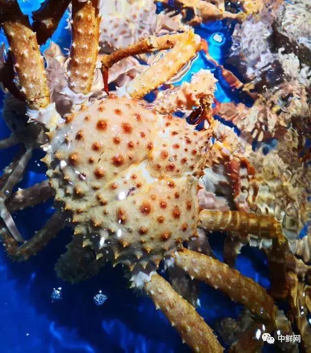 商超15平冷库商品保鲜技巧,商超水产养殖技术