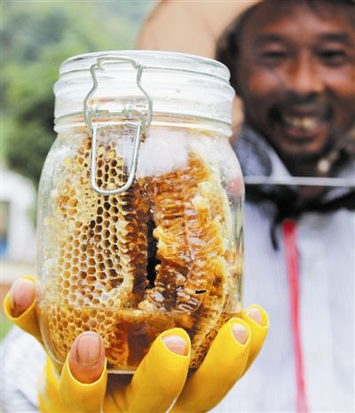 蜂胶珍贵吗,蜂胶是保健之王