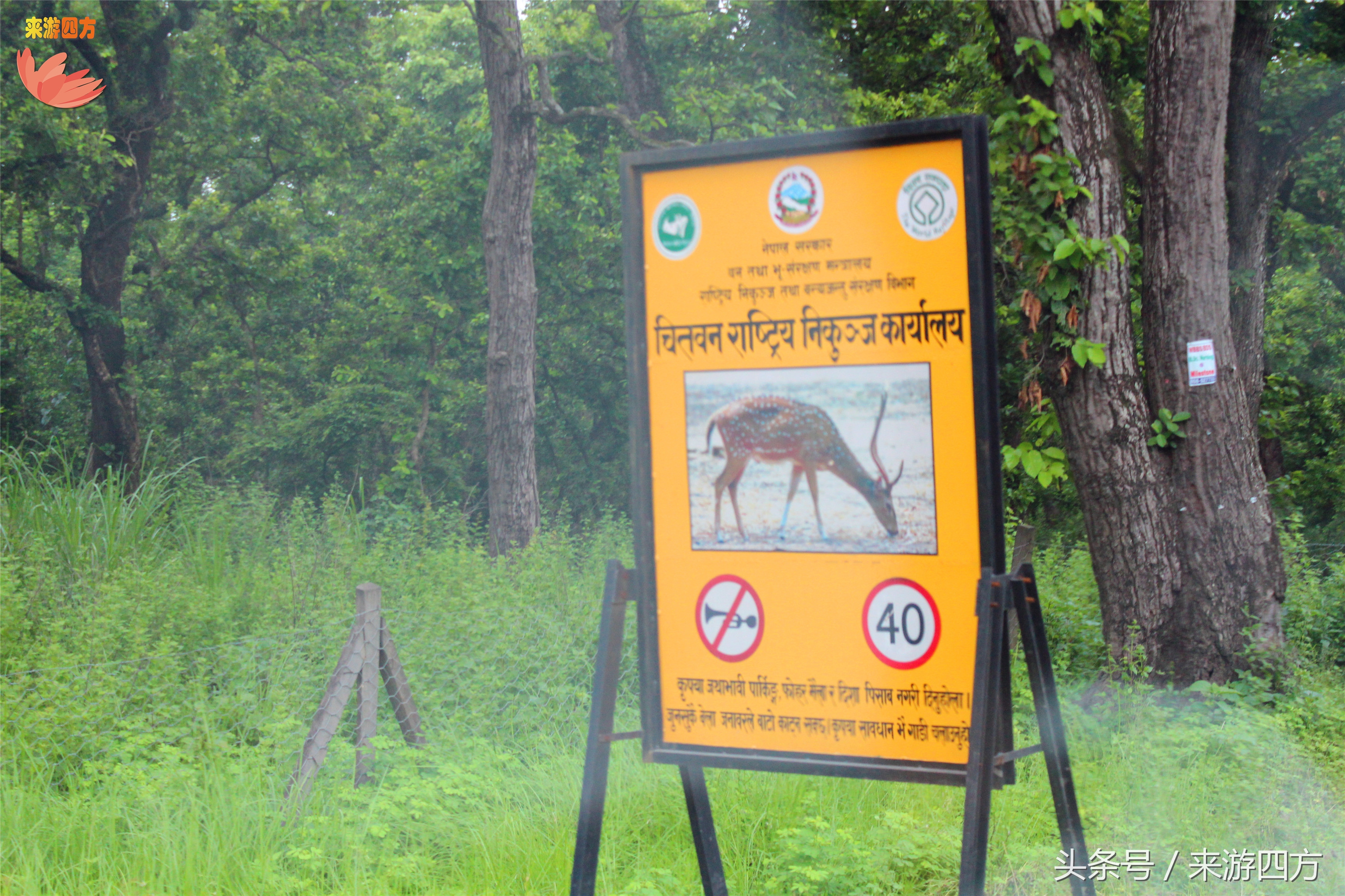 博卡拉尼泊尔游记,我的尼泊尔驴行纪实之旅