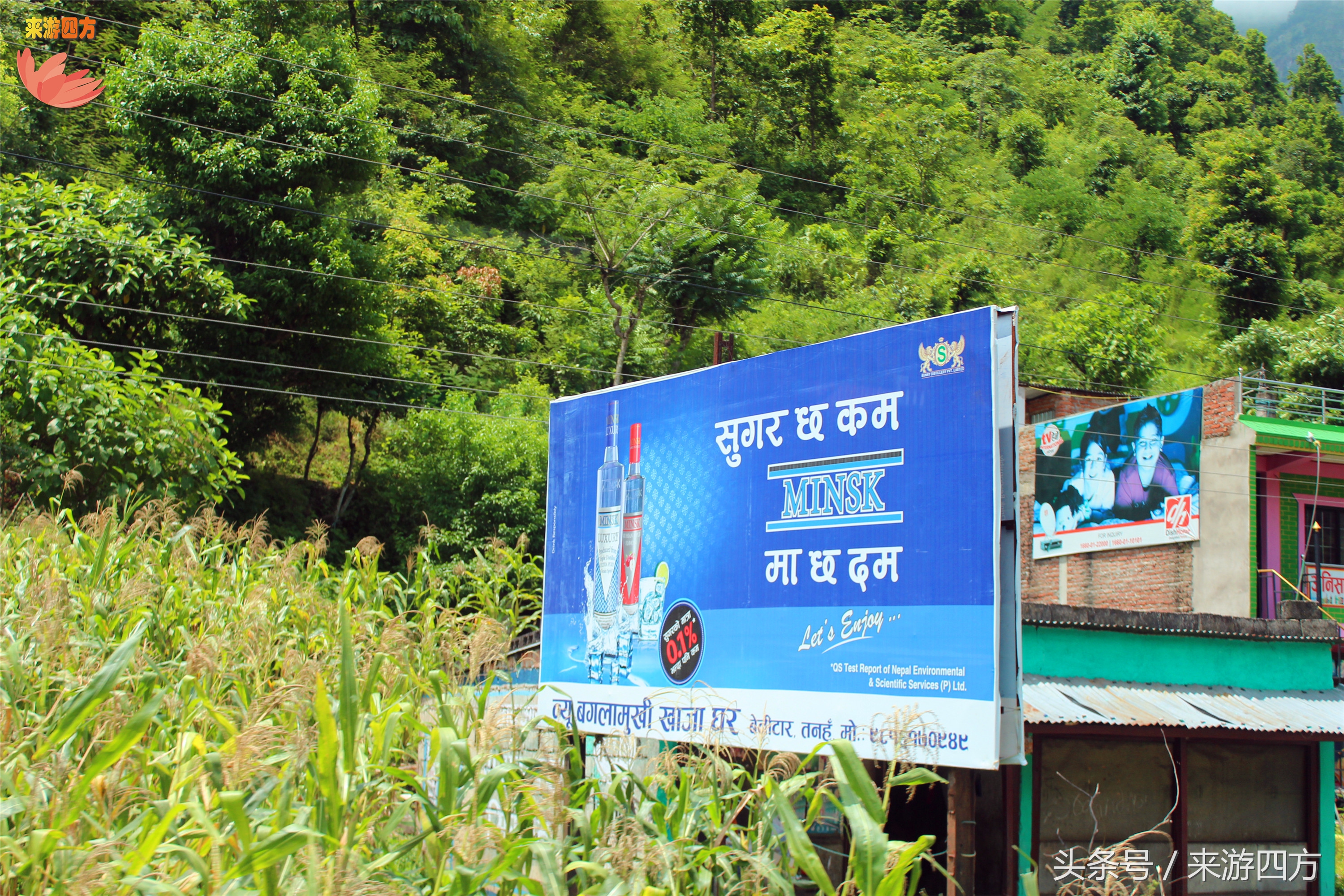 博卡拉尼泊尔游记,我的尼泊尔驴行纪实之旅