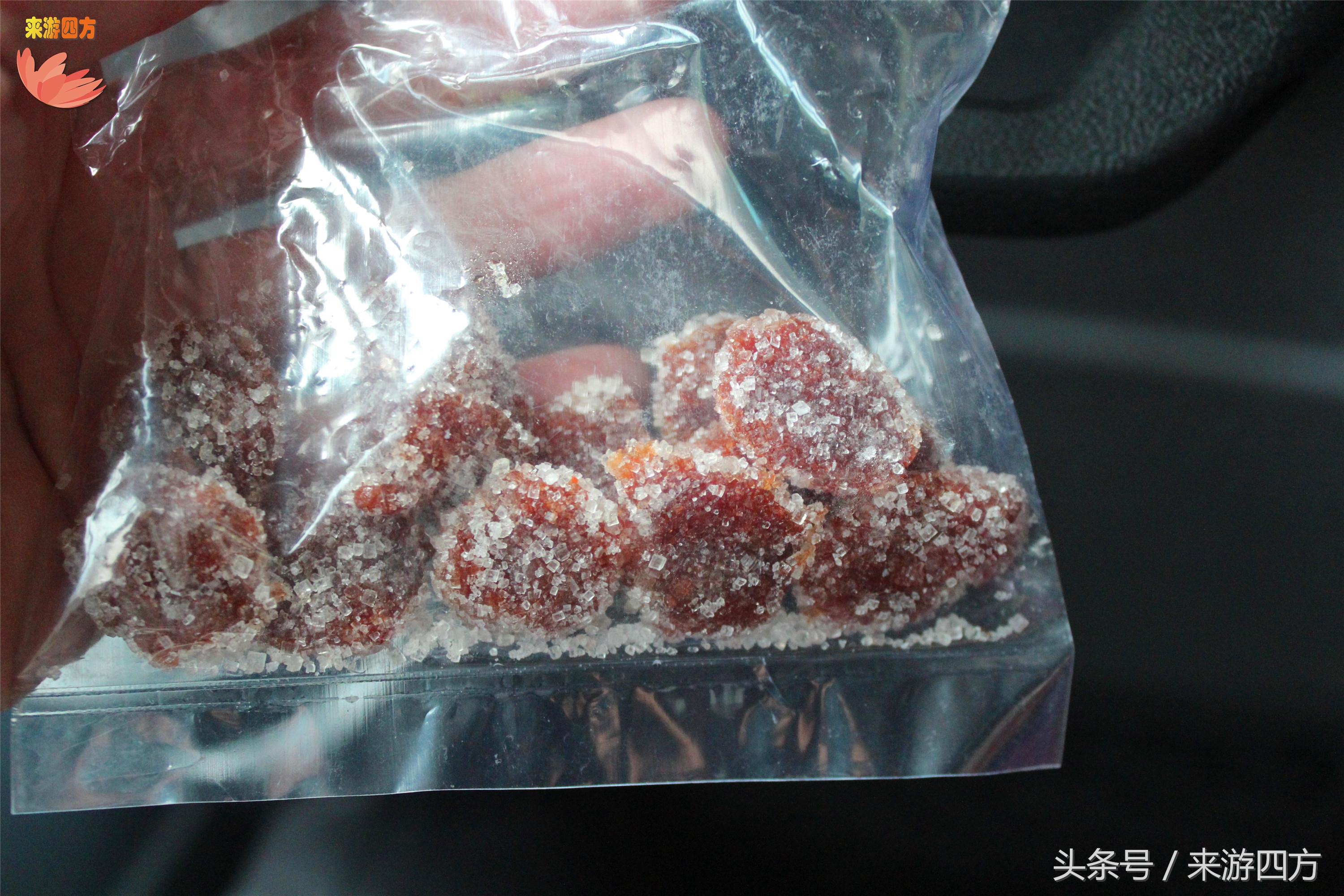 博卡拉尼泊尔游记,我的尼泊尔驴行纪实之旅