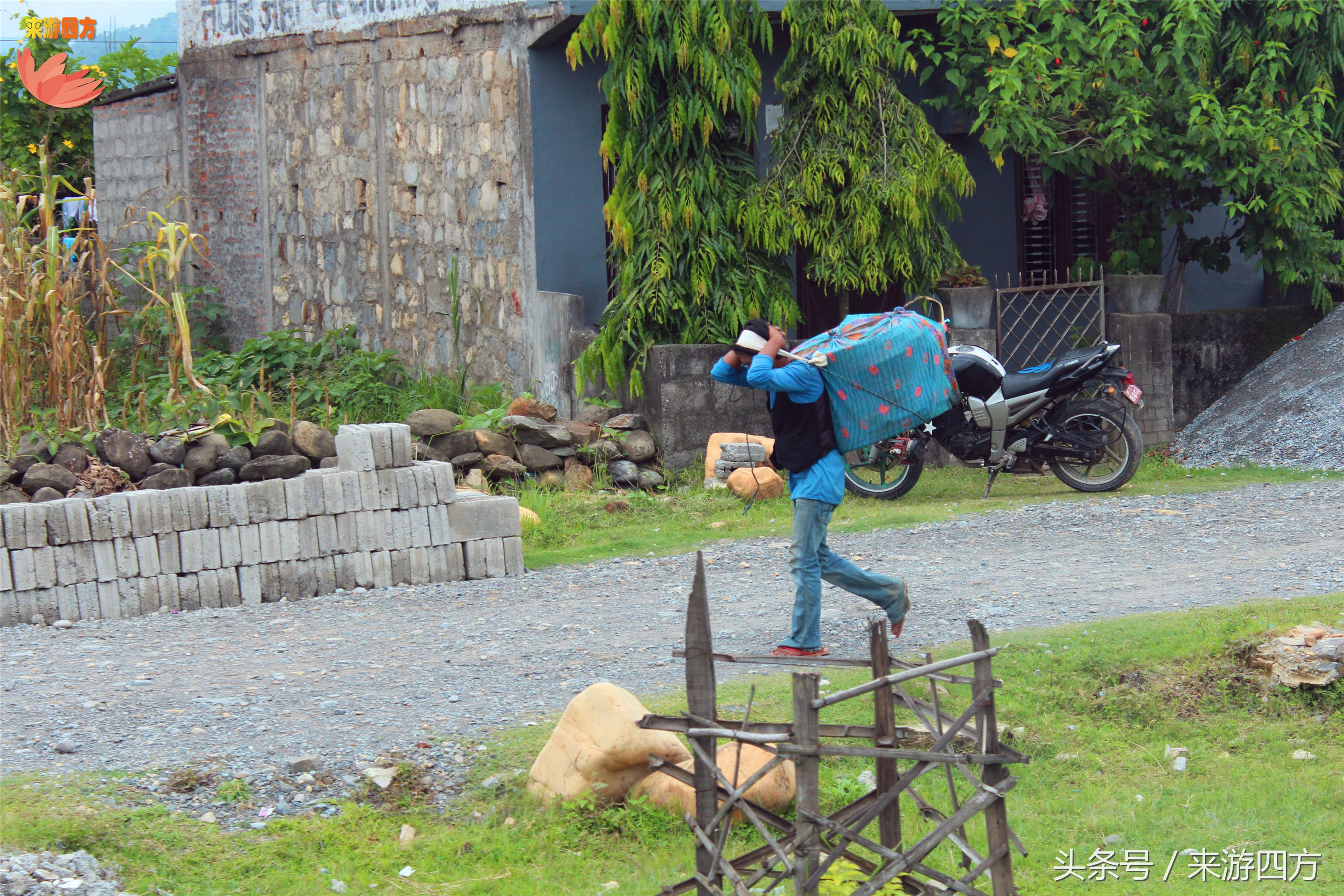 博卡拉尼泊尔游记,我的尼泊尔驴行纪实之旅