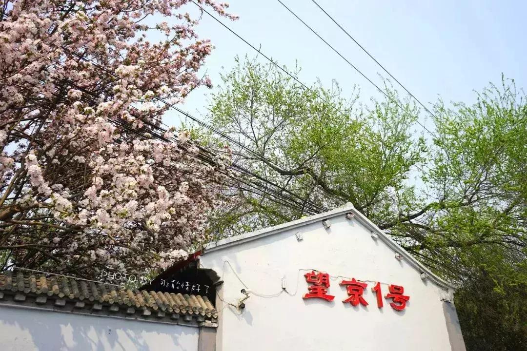 谁说好看不能当饭吃,谁说漂亮不能当饭吃