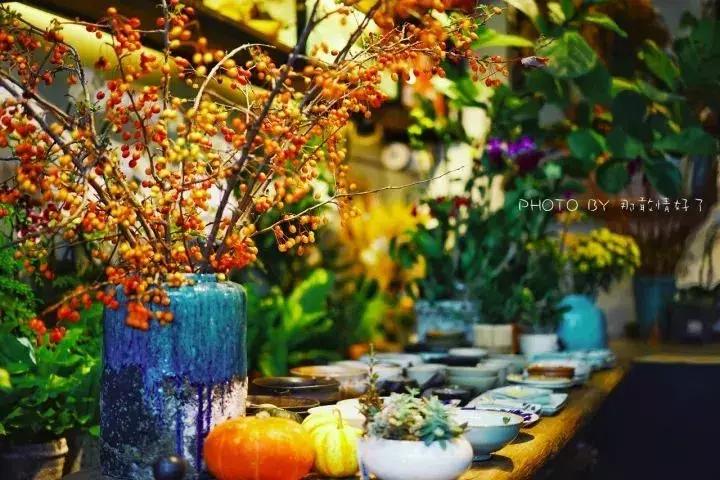 谁说好看不能当饭吃,谁说漂亮不能当饭吃