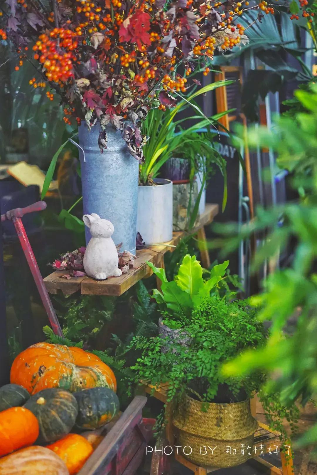 谁说好看不能当饭吃,谁说漂亮不能当饭吃