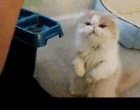 北京西直门地铁4号线美食,北京地铁10号线美食推荐