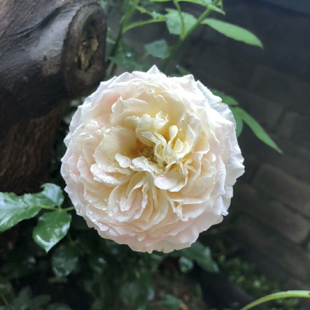 汉新闻：“五一”放假通知已下发，“花开不败”摄影大赛在线等