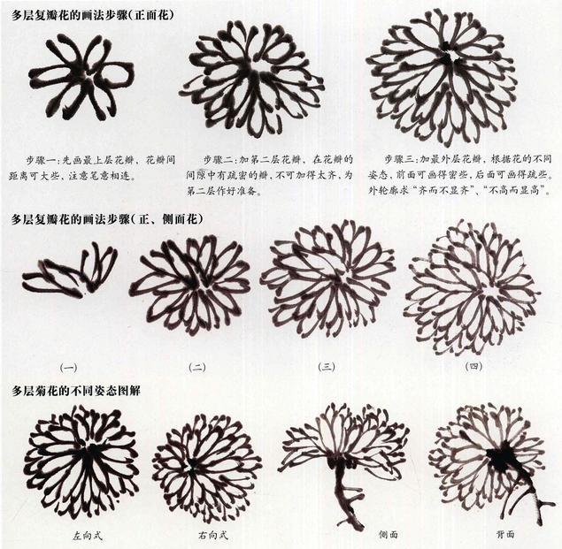 徐湛国画菊花画法视频教程,怎么画国画菊花又美又简单