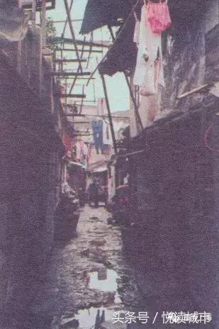 悦读城市,悦读城市完整版