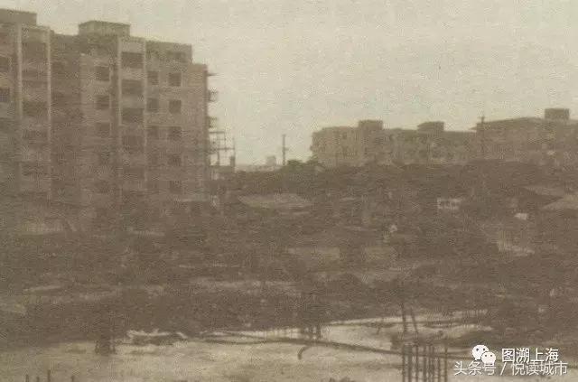 悦读城市,悦读城市完整版