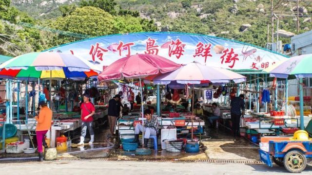 外伶仃岛旅游攻略,外伶仃岛一日游攻略多少钱