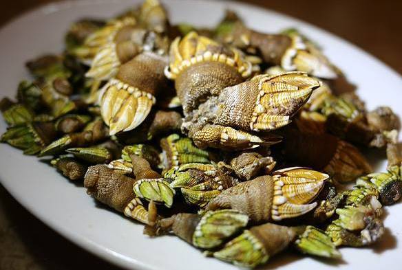 外伶仃岛旅游攻略,外伶仃岛一日游攻略多少钱