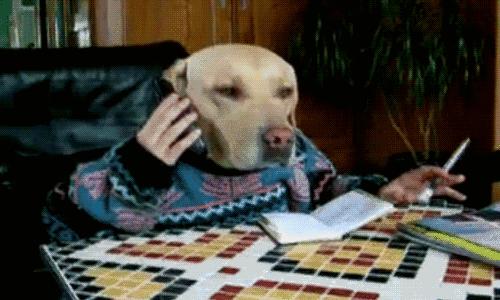 男朋友护肤品比自己贵,男朋友的护肤品比我还好用