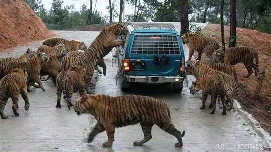 五一哈尔滨旅游攻略,五一哈尔滨冰雪大世界游玩攻略