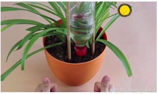 塑料瓶怎么做成浇花的瓶子,废弃瓶子制作浇花神器妙招
