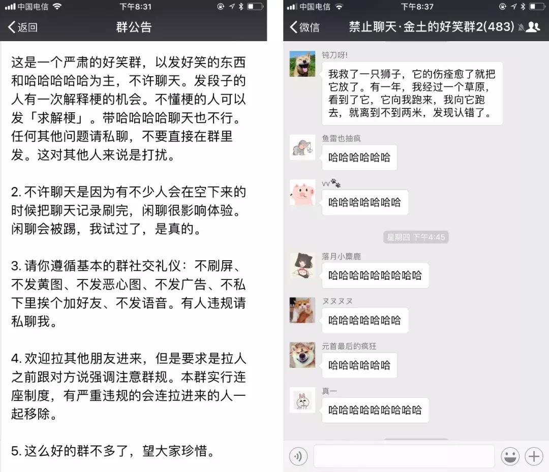 优秀的微信群有哪些,最火的微信群都有哪些