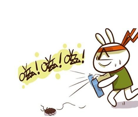 找蟑螂小妙招,捕捉蟑螂小窍门有哪些方法