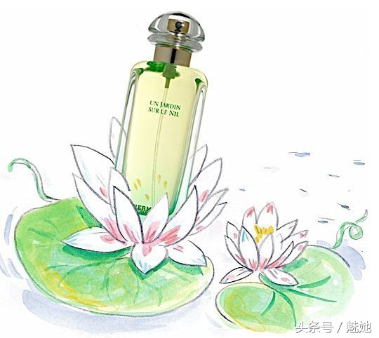 爱马仕100个必买经典,爱马仕十大最值得入手的颜色