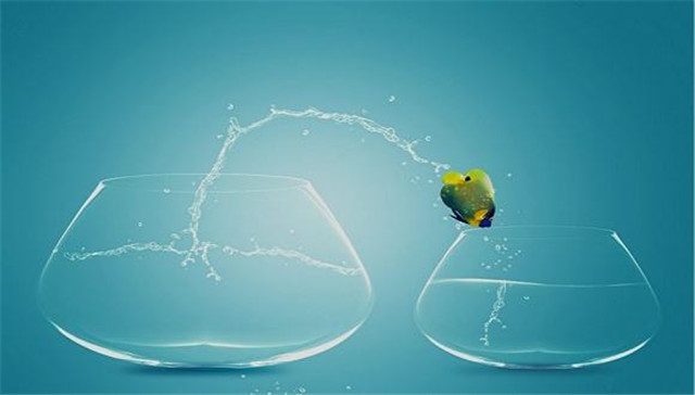 如何创业成为下一个马云,跨界打劫思维教学