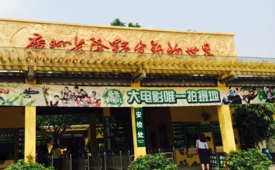 广州长隆野生动物园攻略最新,广州长隆野生动物园详细攻略