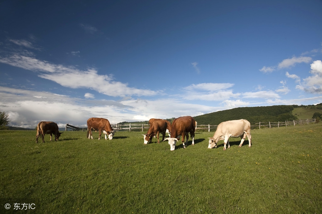 海淘奶粉真的不适合中国宝宝吗,海外直邮奶粉与国内买的有区别么