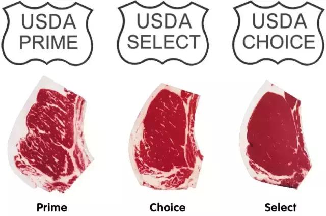 牛肉分级对照表,牛肉的划分和基础知识