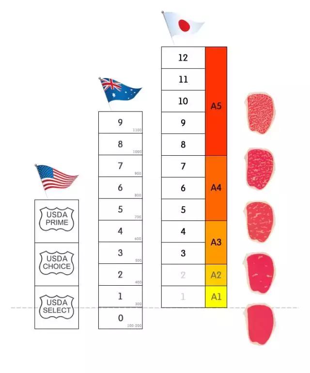 牛肉分级对照表,牛肉的划分和基础知识
