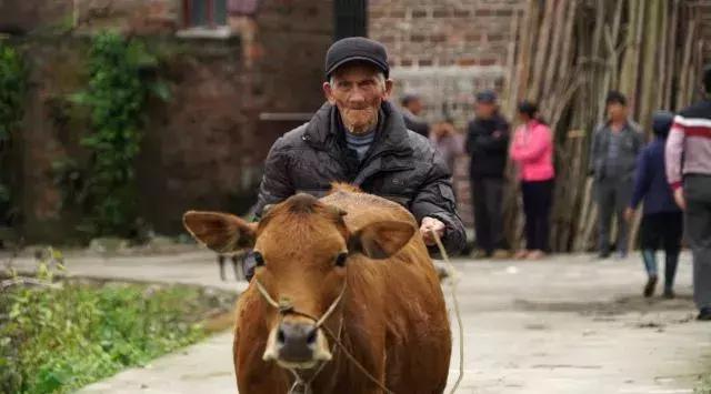 快干了这碗养生“珍珠粥”!103岁爷爷吃了变成这样……