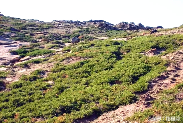 内蒙古休闲景区建设解决方案 (内蒙古新建旅游小镇)