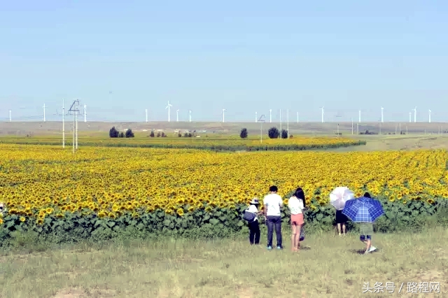内蒙古休闲景区建设解决方案 (内蒙古新建旅游小镇)