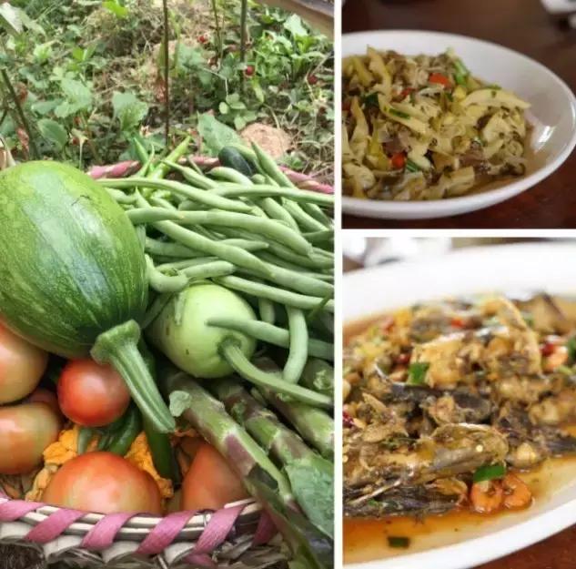 桐庐富春江边十大网红民宿,桐庐富春江畔山清水秀