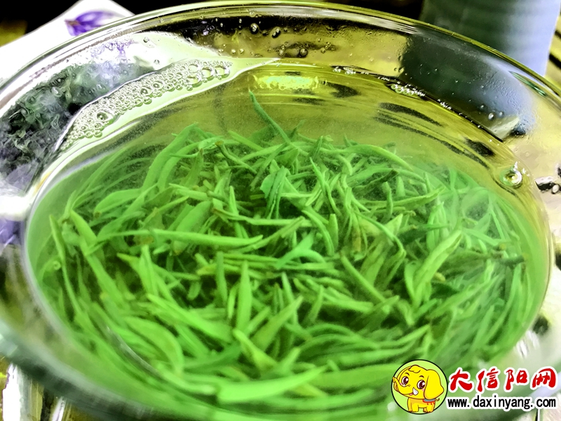 信阳市第二十六届茶文化节,第二十八届信阳茶叶文化节开幕式