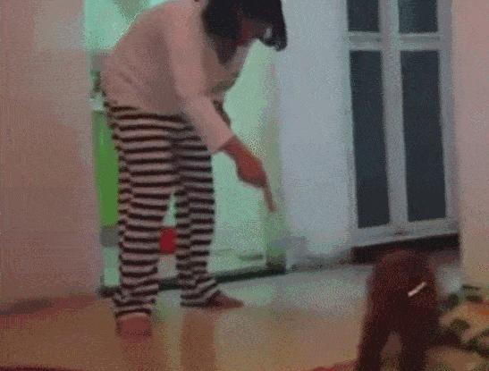 狗狗喝醉了这个样子,宠物狗喝醉