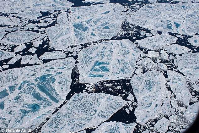 北极已成“塑料地狱”?每升冰一万个微塑料,还要毒害鱼和人!