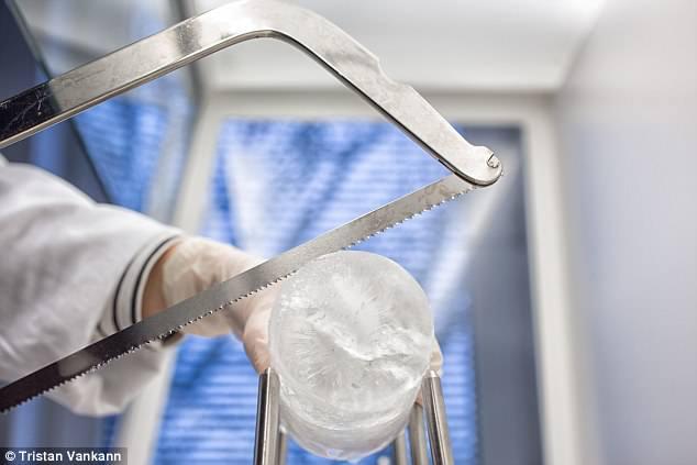 北极已成“塑料地狱”?每升冰一万个微塑料,还要毒害鱼和人!