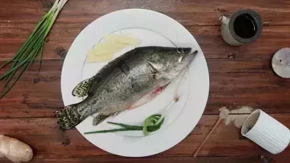 美味家炖鱼做法,美味的炖鱼了解一下