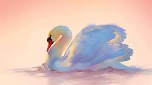 Swan开瓶器|想象一下,如果你有一个天鹅系男友