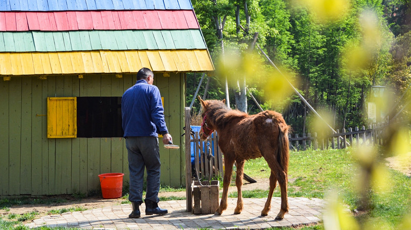度假不止烧烤麻将还有运动,度假不在于逛景点
