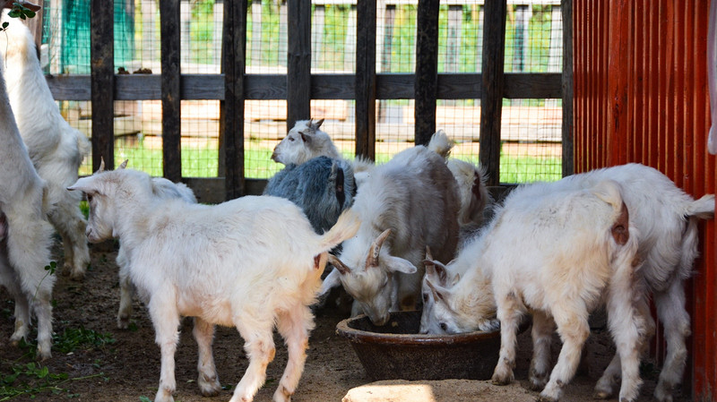 度假不止烧烤麻将还有运动,度假不在于逛景点