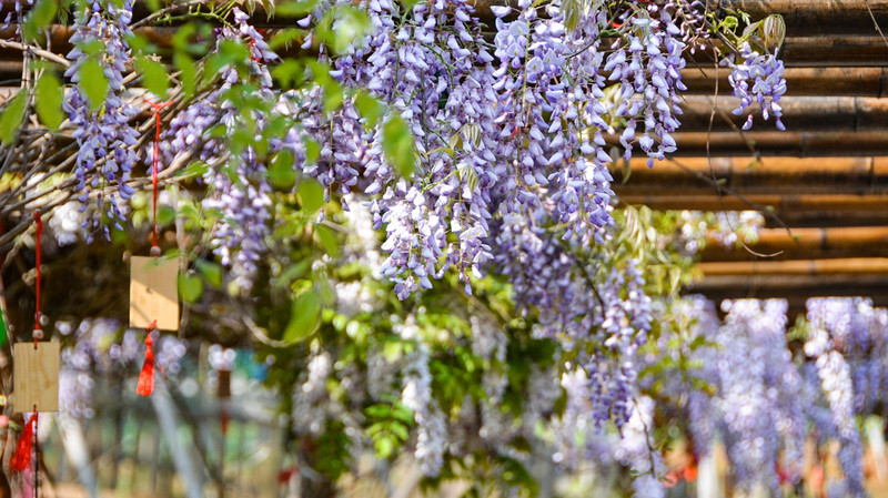 度假不止烧烤麻将还有运动,度假不在于逛景点