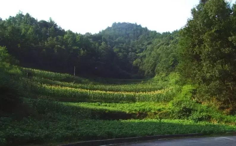 湖北哪个地方水资源最好,湖北的水资源在全国排名第几