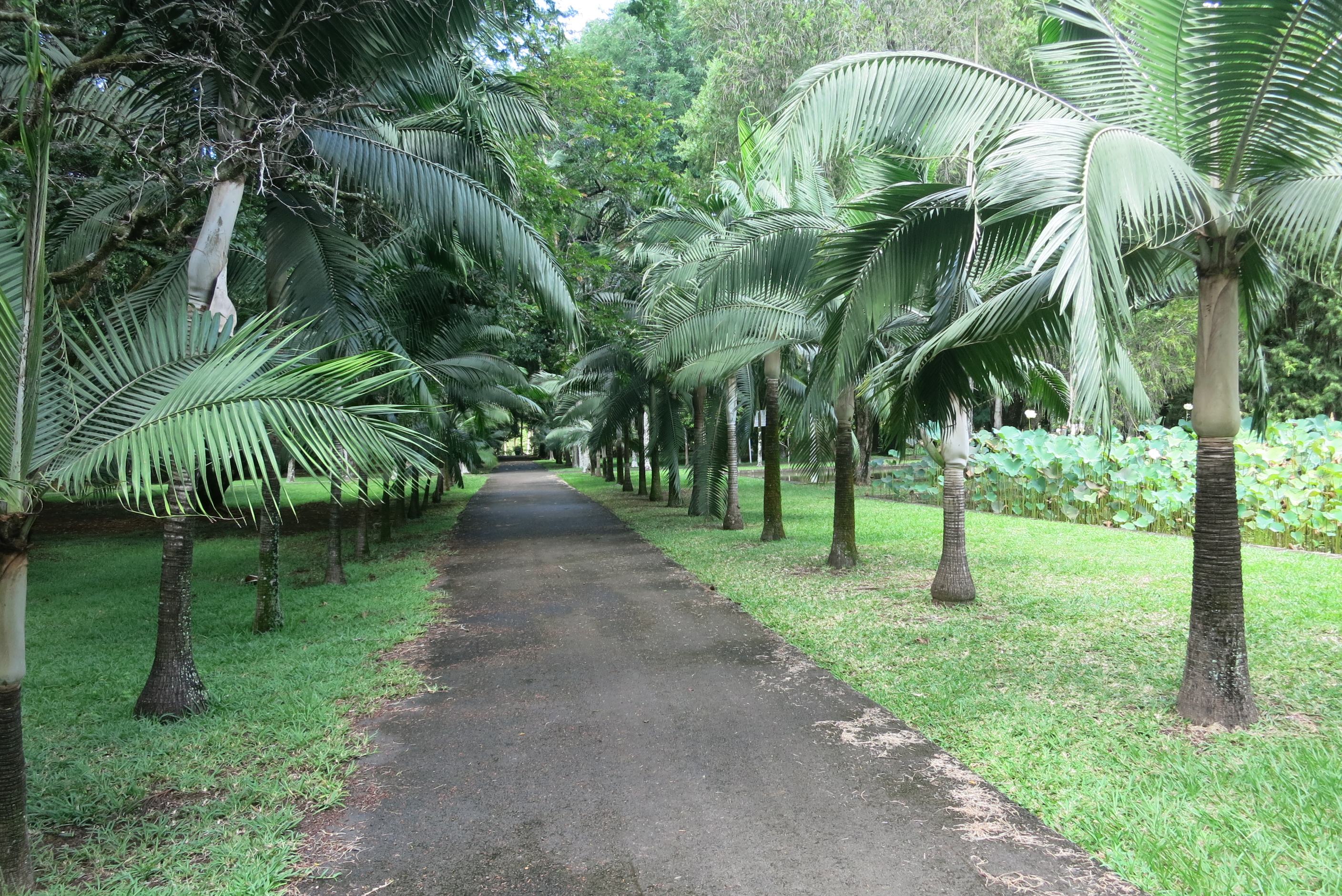 毛里求斯4天游攻略,毛里求斯自由行旅游攻略