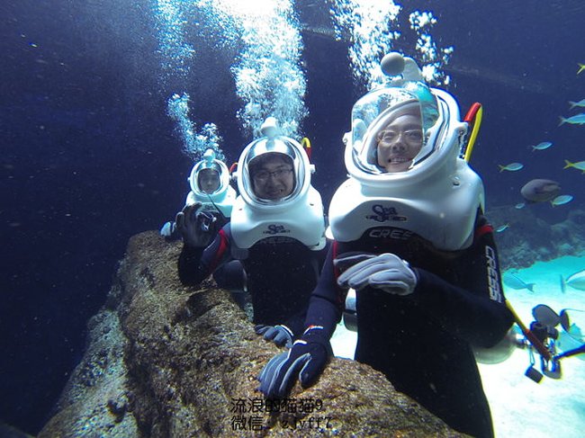 毛里求斯4天游攻略,毛里求斯自由行旅游攻略