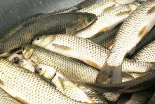 腊鱼太咸怎么做好吃,腊肉腊鱼太咸怎么办